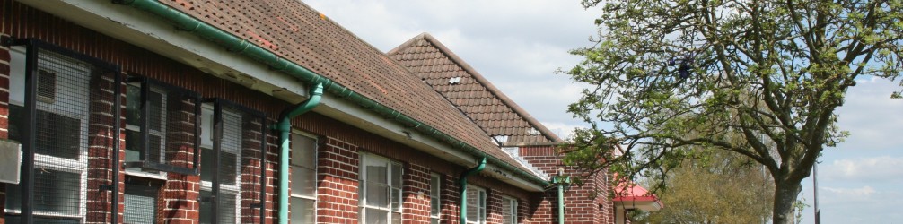 Project Banner