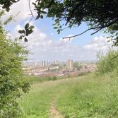 Knowle West Through the trees