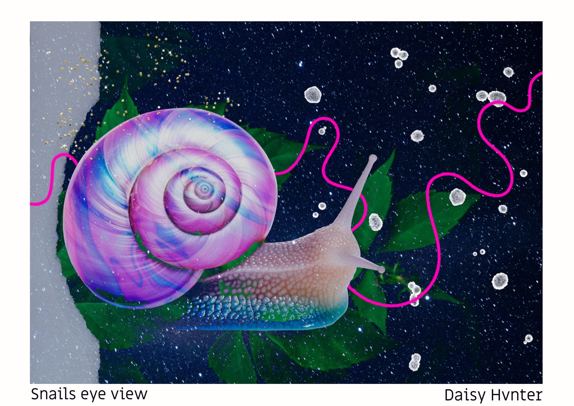 Snail collage